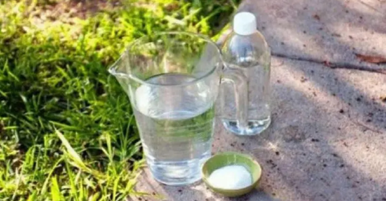 Запомнете добре, за да си решите проблеми: Оцет + вода + сол = формулата, която изкоренява бурени и треволяк